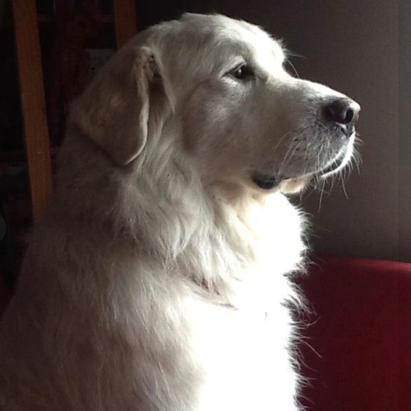 Meet your Posher, Paula - Picture 5 of 12